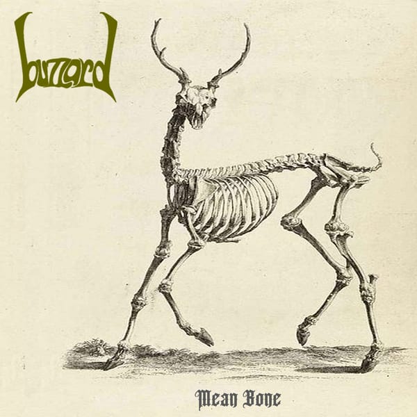 Animal skeleton.